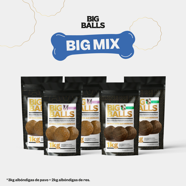 Comida BARF para Perros Big Mix