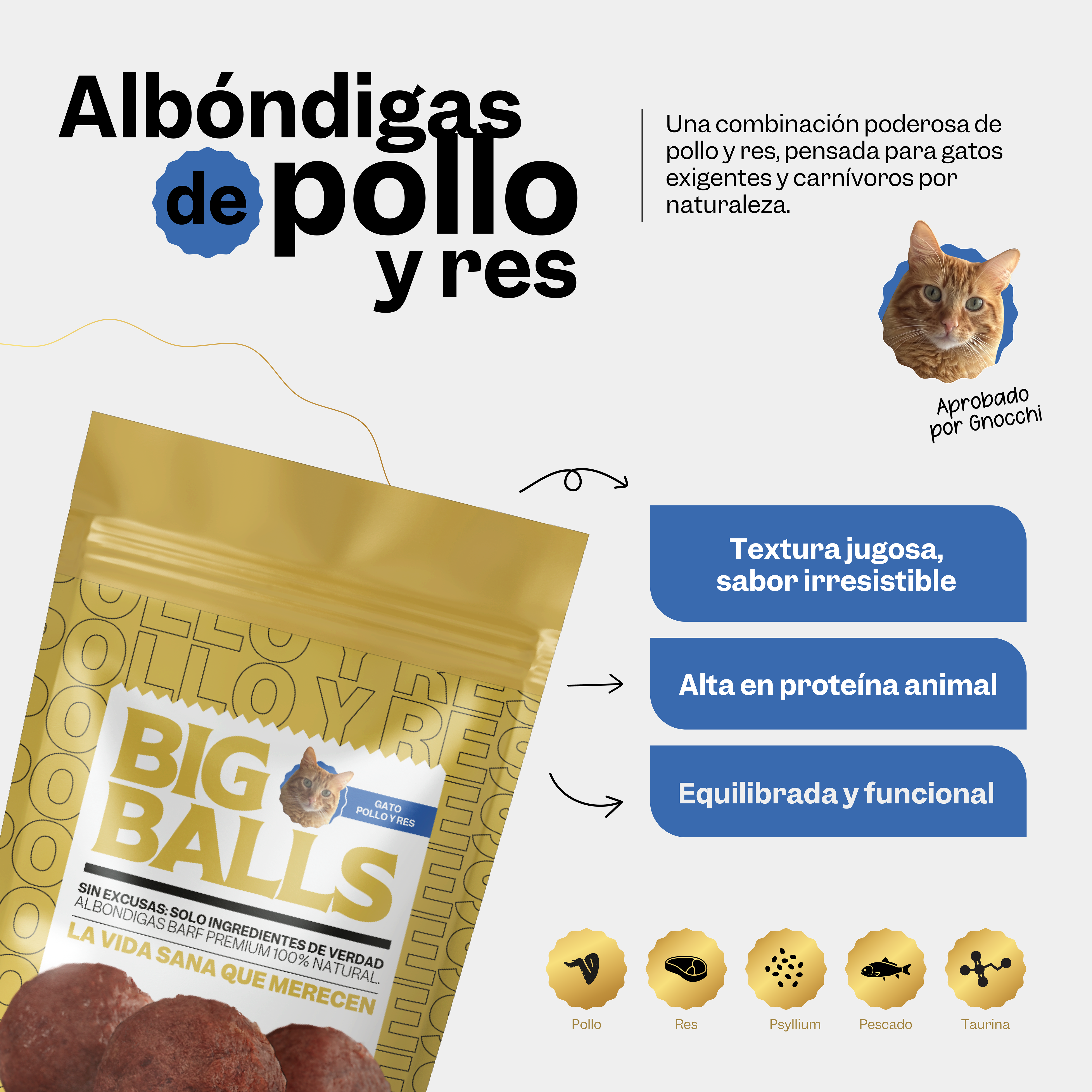 Comida BARF para Gatos Mix Felino - Gallery 2