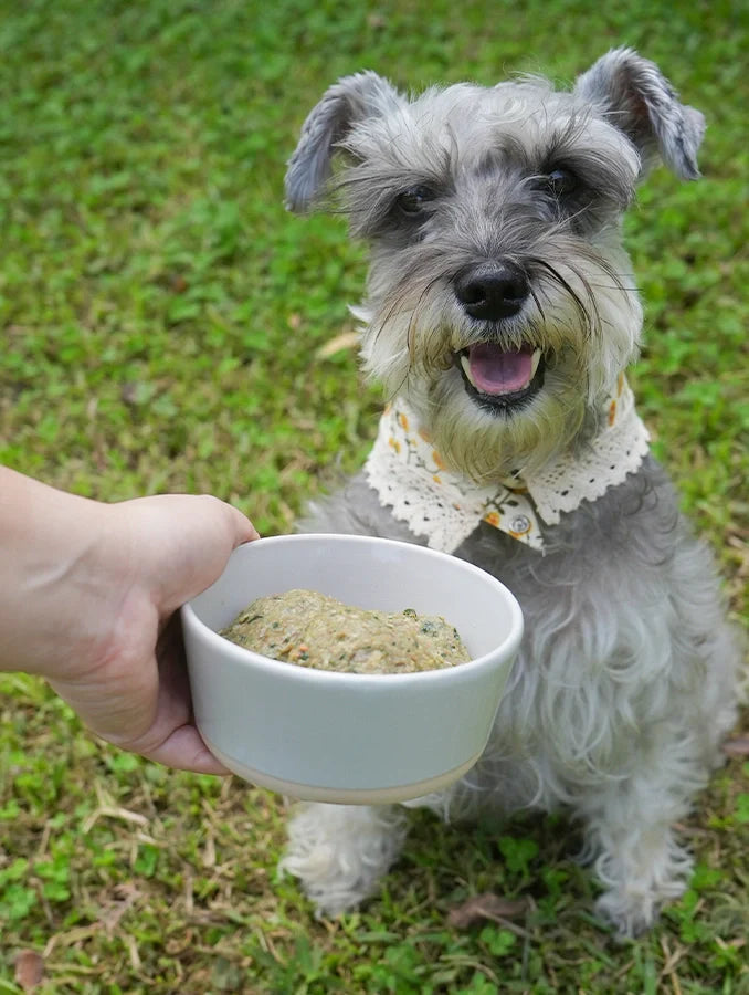 BARF Perros