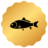 Pescado fresco