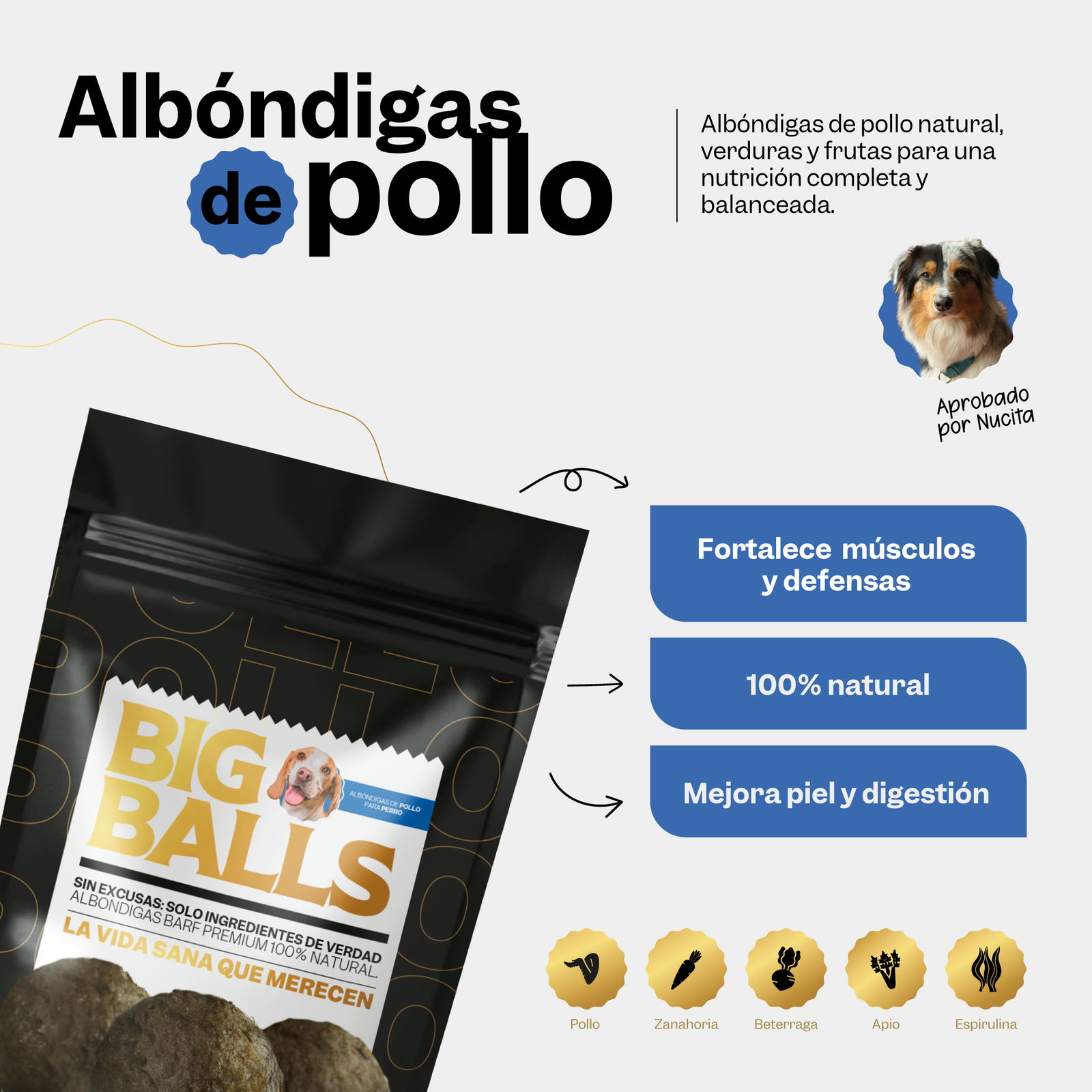 Comida BARF de Pollo para Perros - Image 3