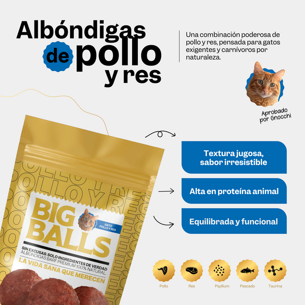 ⁠Comida BARF para Gatos Pack Felino - Secondary