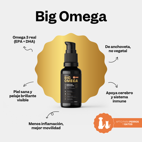 Big Omega - Secondary